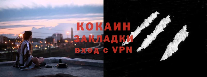 дарнет шоп  Камешково  COCAIN Эквадор 