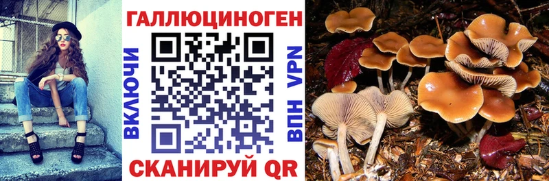 как найти   Камешково  Галлюциногенные грибы мухоморы 